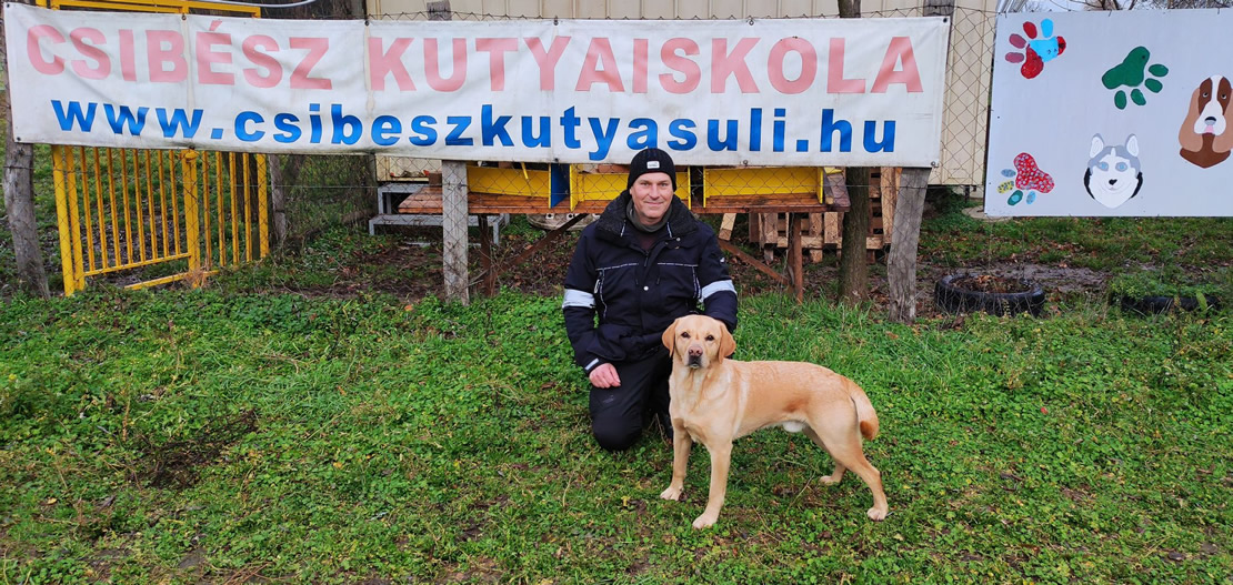 Hegyes Tibor
